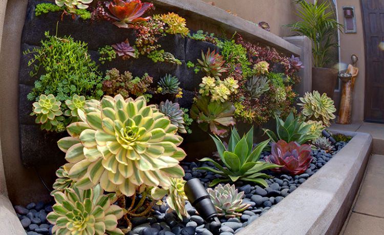 cactos e suculentas ideias jardim design easy-care-aloe-rockery-vertical