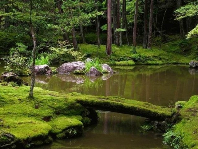 projetar com lagoa de água de ponte de estilo asiático