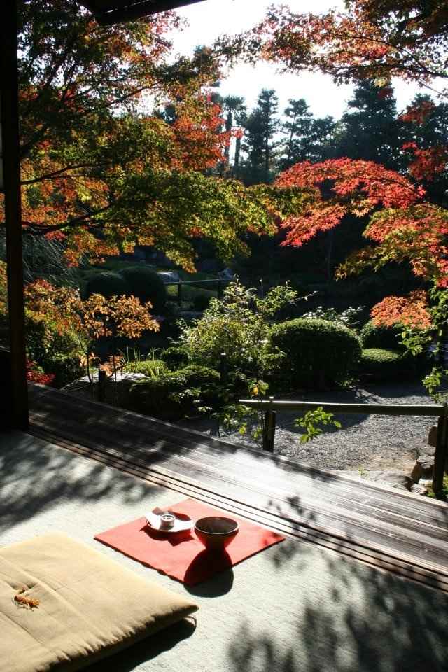 projeto de jardim japonês como terraço ao ar livre em estilo asiático