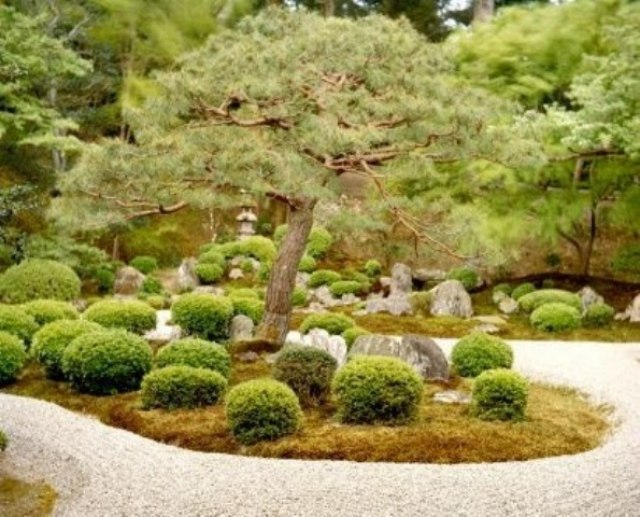 bonsai árvores-arbustos arbustos jardim arte-japonês