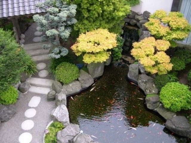 jardim zen com lago de carpas com ideias de jardim e passarelas de pontes