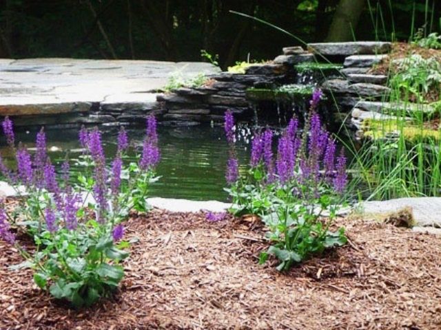 efeito cascata de lagoa de água para criar um jardim agradável