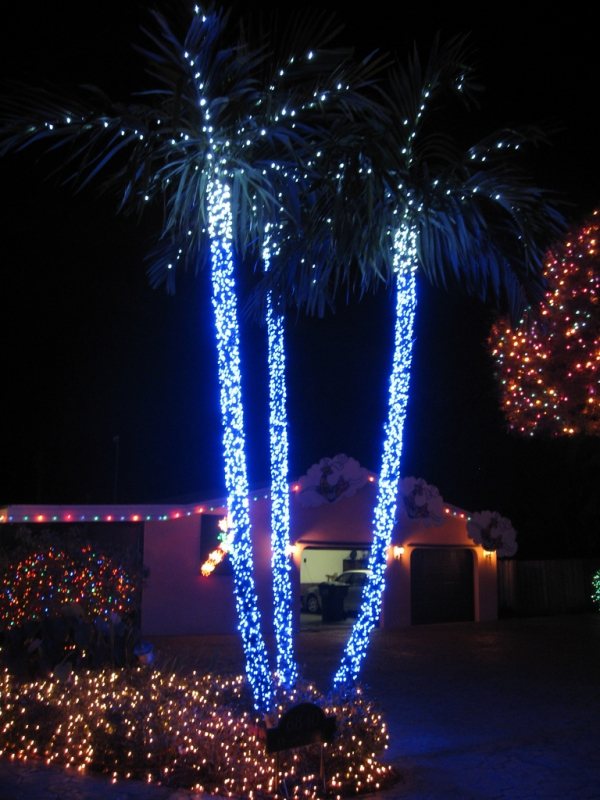 Decorações externas Natal coágulo família palmeiras florida