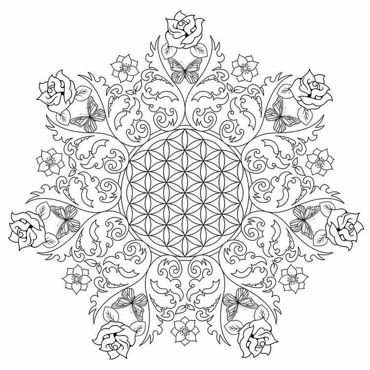 Desenhos para colorir para adultos bonitos-mandala-modelo-colorir