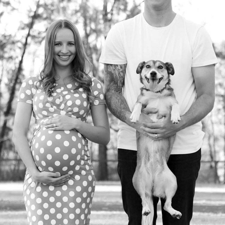 baby bump photos-faça-você-mesmo-gravidez-fotos-ideias-dicas-cachorro-animal-de-estimação-engraçado