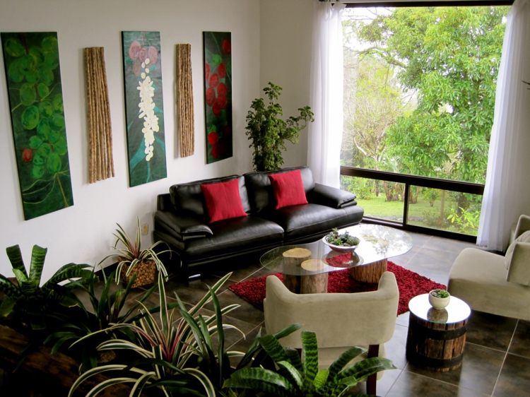 Decoração com plantas de interior