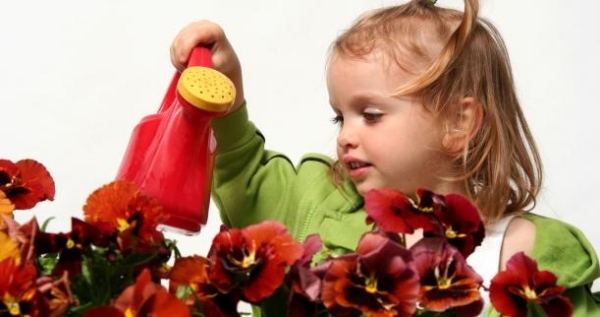 Cuidar de flores e cultivar plantas de interior, dicas para regar, refrescar