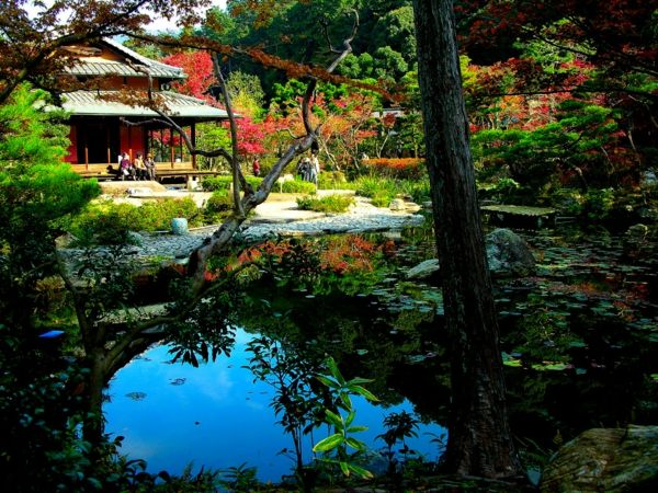 Pequeno lago no jardim zen