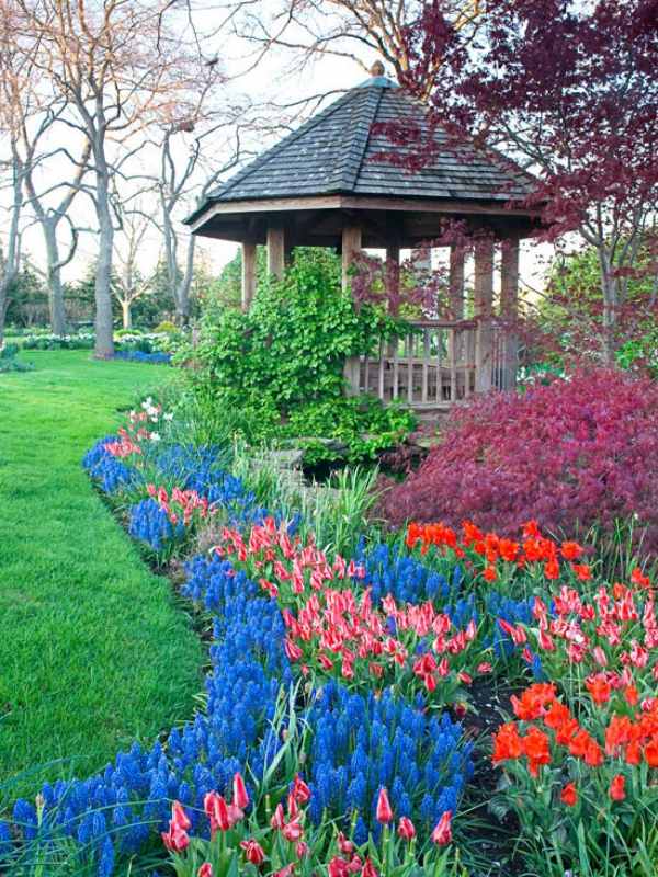 Crie canteiros de flores azuis para jardim feito de ideias de design de madeira