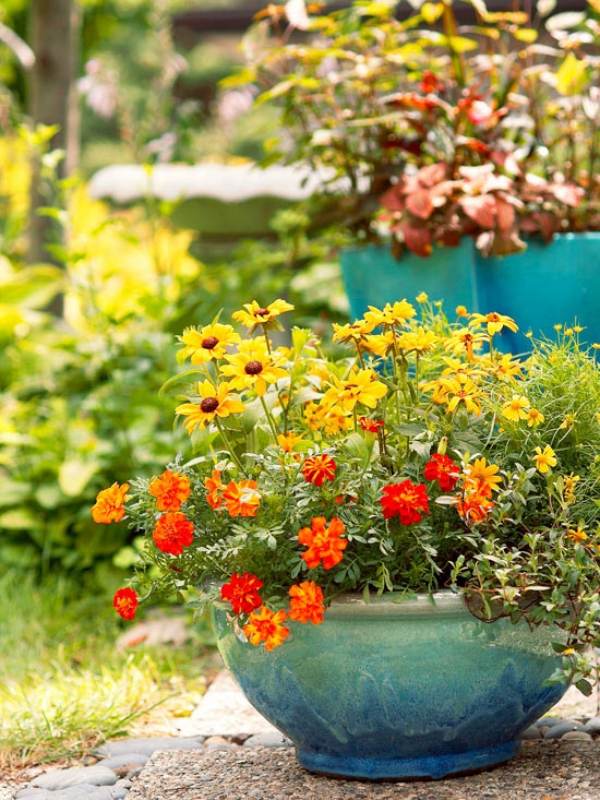 jardim terraço flores vaso de plantas terracota combinações de cores