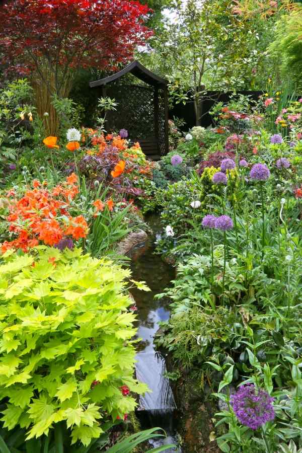 ideias para criar água nos tipos de plantas de jardim coloridas-florescendo-ideias