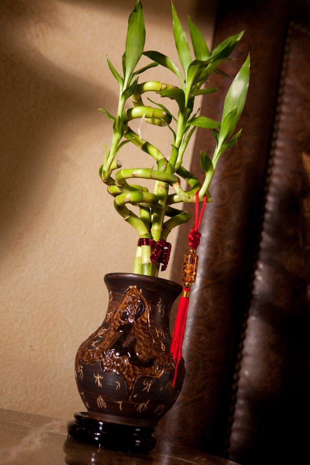 vaso de cerâmica da sorte bambu cuidado da casa ambiente zen