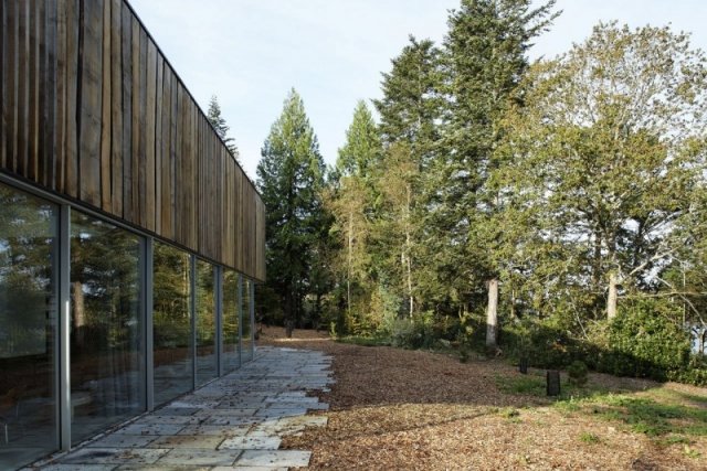 arquitetura porta de vidro deixa reflexão natureza cercada