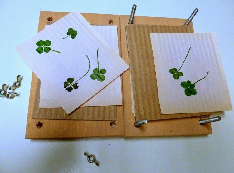 herbarium-create-clovers-press-lucky-charme-botanical-collection