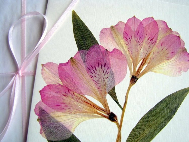 herbarium-create-greeting-card-tinker-real-flowers-original