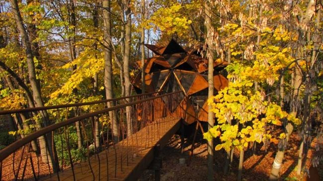 Casa na árvore ponte de madeira construindo ninho de cobre na floresta