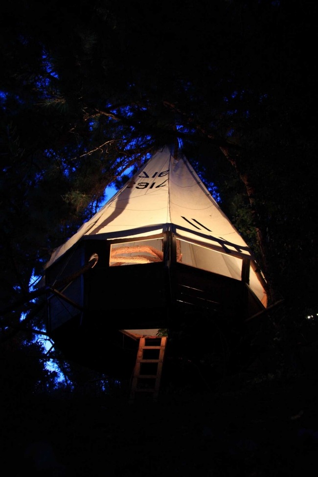 TreePi, casa na árvore, tenda, palafitas, material de construção