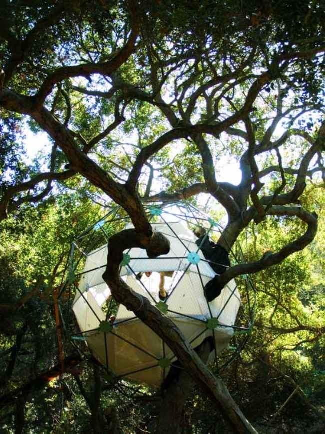 Casas nas árvores com árvores cobertas de vegetação TreeVillage Estrutura esférica de madeira