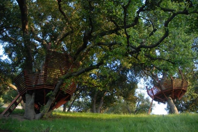 Casa de lótus na árvore do jardim construída sobre palafitas