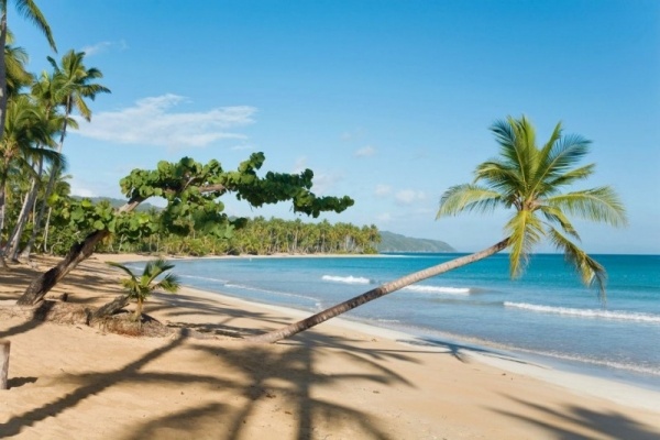 hotel nas praias da república dominicana, palmeiras