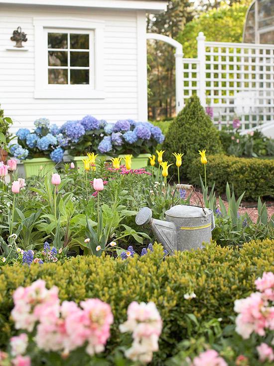 Ideias para tulipas com treliça de hortênsia azul de jardim