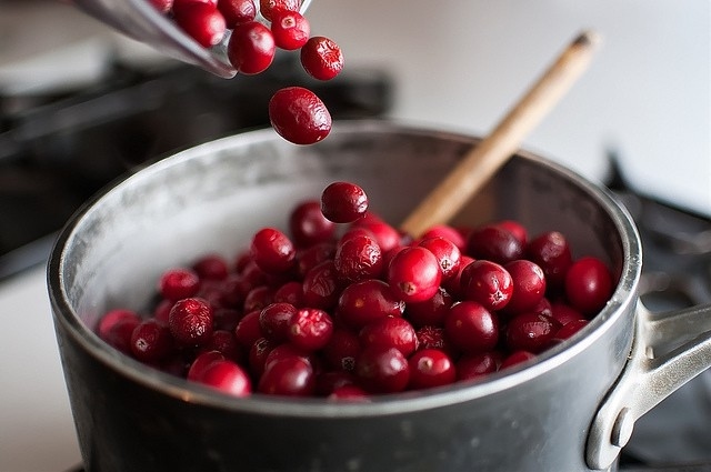 Cranberries Source Vitamins Eat Fit and Healthy Living in Winter Tips