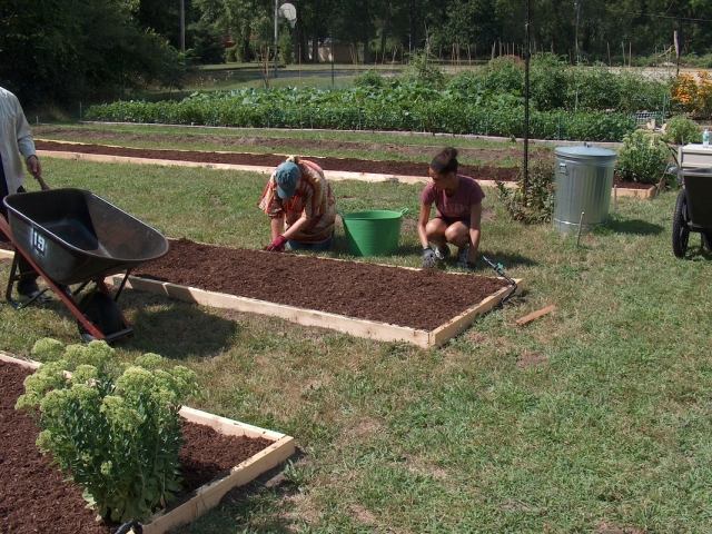 Jardinagem, pessoas, jardinagem, não é difícil tipo lasanha