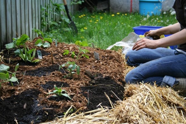 Elementos de compostagem de projeto de jardim de ideias despejar organizar