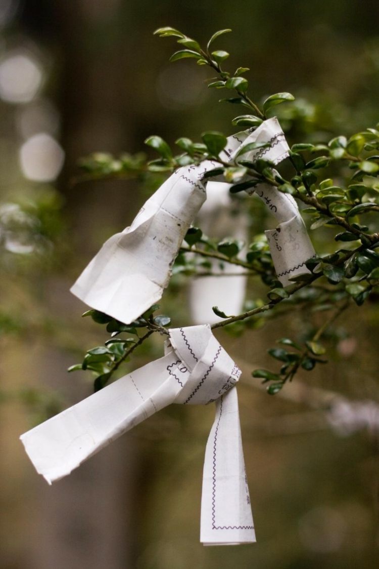 Crie um jardim japonês ideias-destino-filosofia-parabéns-árvore ramos-papel-Omikuji