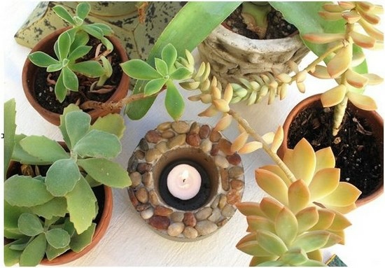 Faça suas próprias plantas de velas