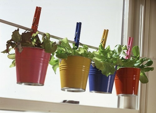 Plantando ervas em casa ideias, latas, prendedores de roupa