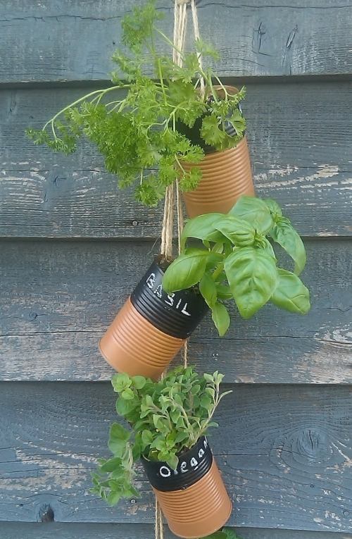 Latas de ervas com design de parede de plantas