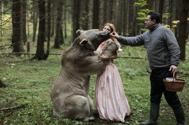 Urso nos bastidores alimenta o treinador de bem-estar animal