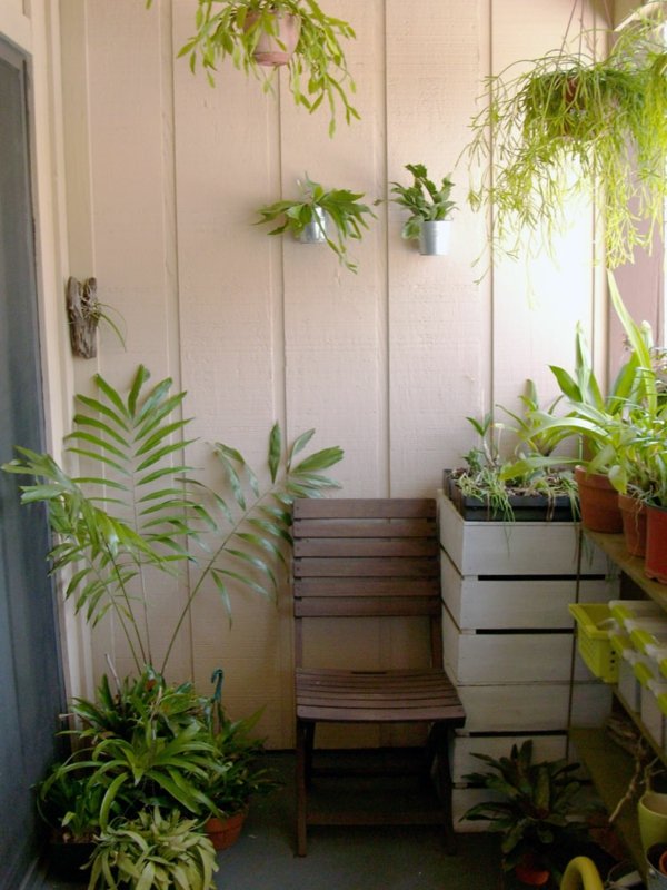 Plantas penduradas em palmeiras com vasos de cerâmica