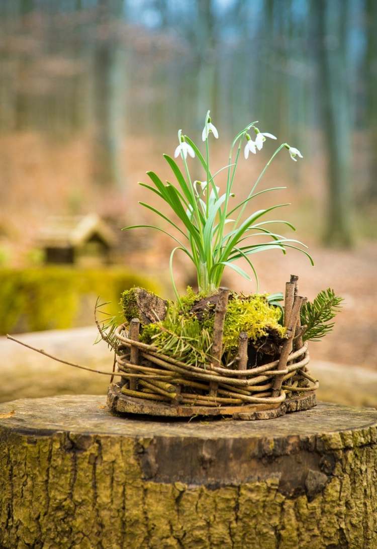 Decoração de primavera com flocos de neve e musgo na cesta