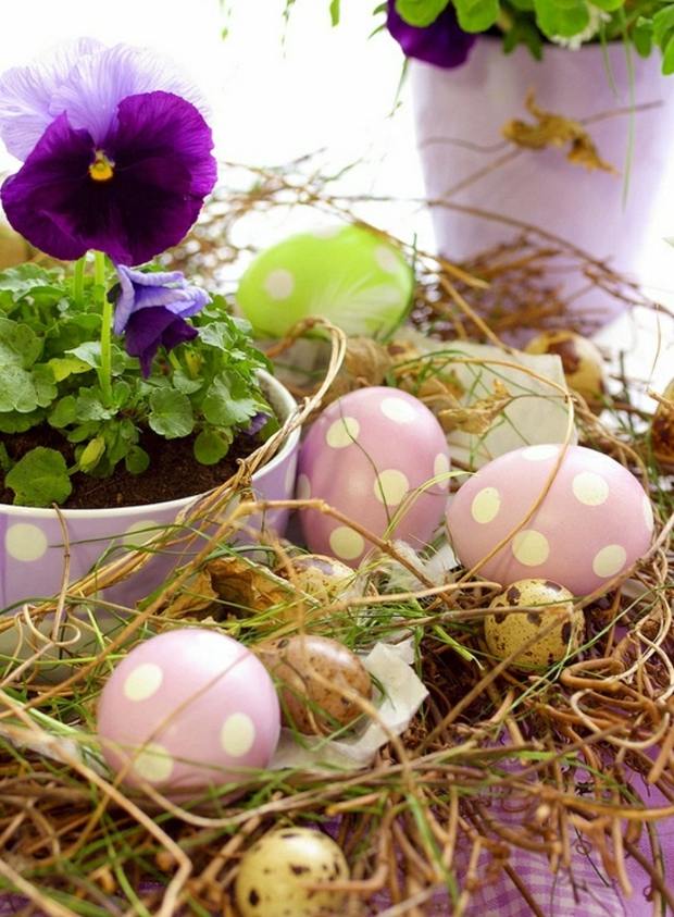 Idéias violetas Ovos de Páscoa coloridos pontos musgo grama