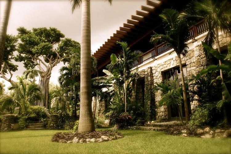 jardim de palmeiras área de gramado com proteção solar