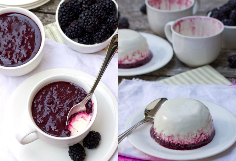 iogurte com baixo teor de carboidratos panna cotta receita de geléia de frutas