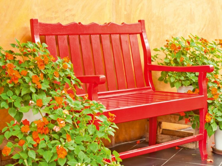 vermelho no banco de jardim-idéia-flores-laranja-flores-design de parede mediterrânea