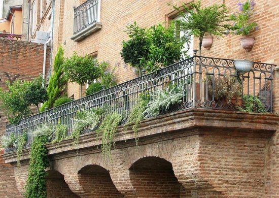 ideias varanda plantas no terraço decoração plantas suspensas