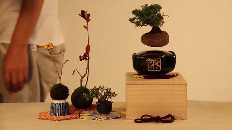 Ímã flutuante de decoração de árvore de bonsai para casa com base de porcelana