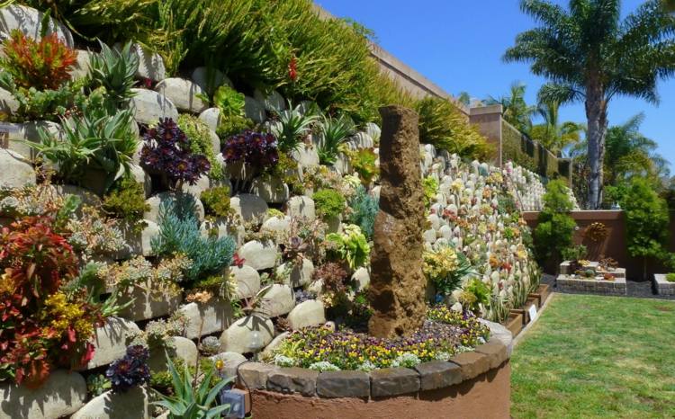 como-decorar-o-jardim-com-suculentas