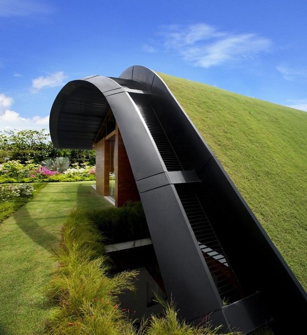 telhado plantado com arquitetura verde