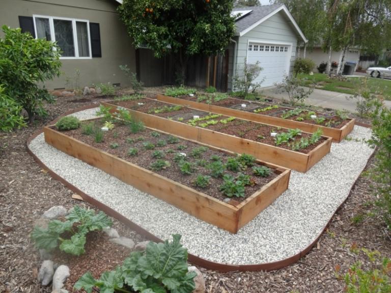 Projeto do jardim frontal com caminho de cascalho e decoração de plantas vegetais de ideia de cama elevada