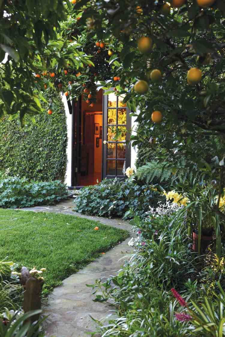 Plantas sob árvores frutíferas-pomar-jardim-projeto-jardim-gramado