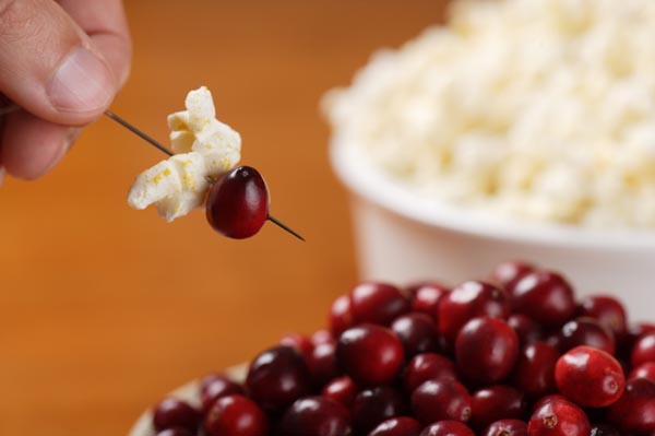 Faça você mesmo as decorações de Natal com frutas, guirlandas de pipoca, decorações para árvores