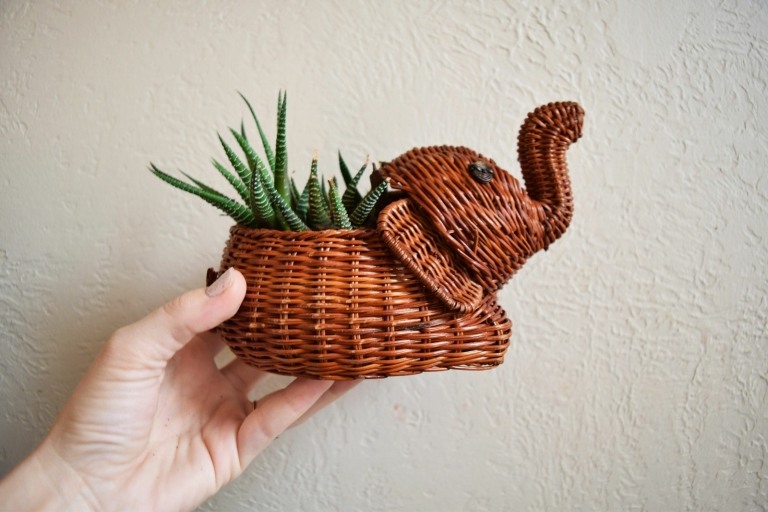 Cesta de vime para plantar cactos acessórios para casa - elefante ideias de decoração para casa