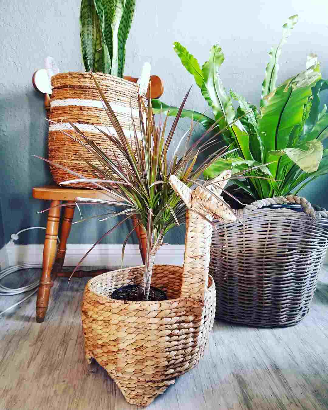 Plantar a cesta de vime Instruções Idéias Acessórios para casa Tendências de vida Decoração de interiores