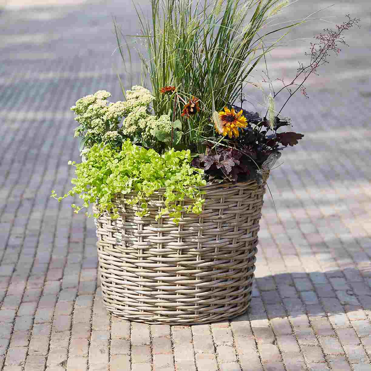 Cesta de vime plantando flores instruções simples jardim terraço design decoração de jardim