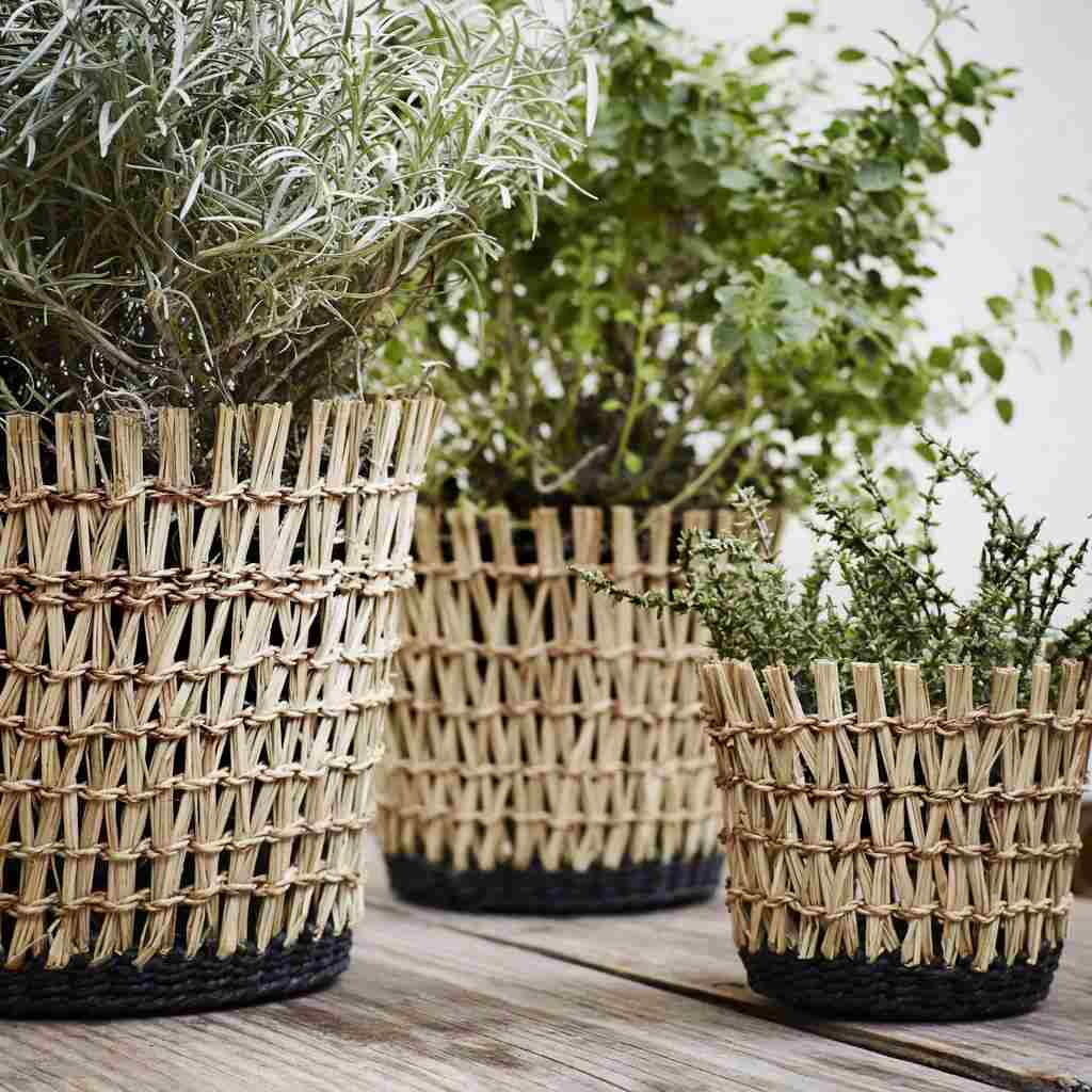 Plantando cesta de vime Flores Ideias para o jardim Projetando o terraço Tendências de vida